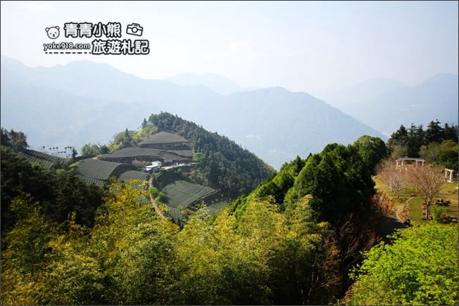 嘉義景點》寒溪呢森林人文叡地.隱藏在梅山山中的美景 @青青小熊*旅遊札記 嘉義景點》寒溪呢森林人文叡地.隱藏在梅山山中的美景 @青青小熊*旅遊札記