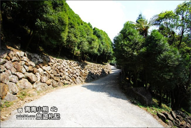 嘉義景點》寒溪呢森林人文叡地.隱藏在梅山山中的美景 @青青小熊*旅遊札記 嘉義景點》寒溪呢森林人文叡地.隱藏在梅山山中的美景 @青青小熊*旅遊札記