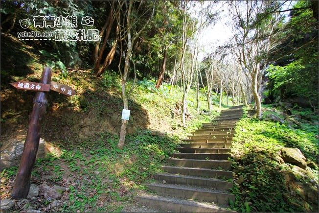 嘉義景點》寒溪呢森林人文叡地.隱藏在梅山山中的美景 @青青小熊*旅遊札記 嘉義景點》寒溪呢森林人文叡地.隱藏在梅山山中的美景 @青青小熊*旅遊札記