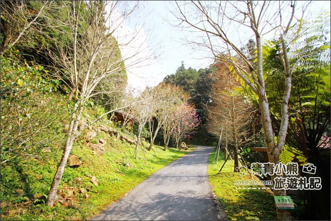 嘉義景點》寒溪呢森林人文叡地.隱藏在梅山山中的美景 @青青小熊*旅遊札記 嘉義景點》寒溪呢森林人文叡地.隱藏在梅山山中的美景 @青青小熊*旅遊札記
