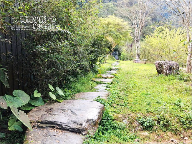 南投景點》九樹森林．魚池隱藏版景點~與自然共生的森林系窯烤餐廳 @青青小熊＊旅遊札記