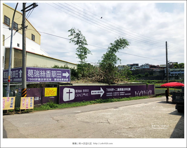 苗栗景點》葛瑞絲香草田~苗栗頭屋薰衣草花田，紫色一片超浪漫 @青青小熊＊旅遊札記