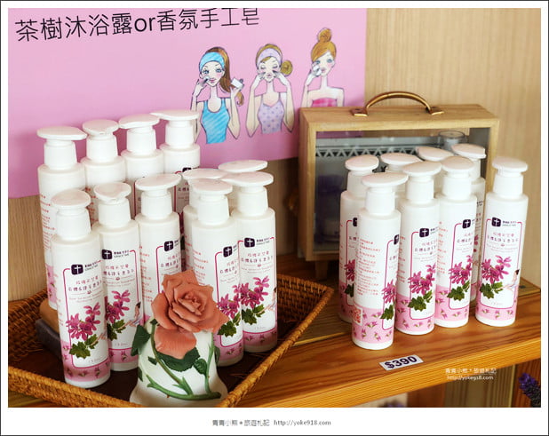 苗栗景點》葛瑞絲香草田~苗栗頭屋薰衣草花田，紫色一片超浪漫 @青青小熊＊旅遊札記