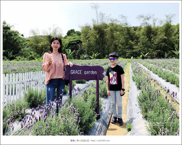 苗栗景點》葛瑞絲香草田~苗栗頭屋薰衣草花田，紫色一片超浪漫 @青青小熊＊旅遊札記