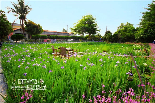 彰化景點》旅人小屋舒宿.田尾鳶尾花秘境這裡賞~期間限定景點 @青青小熊*旅遊札記 彰化景點》旅人小屋舒宿.田尾鳶尾花秘境這裡賞~期間限定景點 @青青小熊*旅遊札記