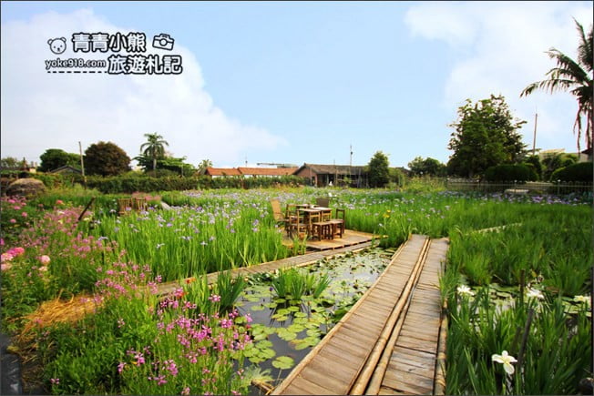 彰化景點》旅人小屋舒宿．田尾鳶尾花秘境這裡賞~期間限定景點 @青青小熊＊旅遊札記