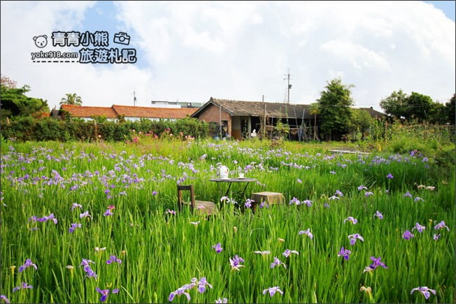 彰化景點》旅人小屋舒宿.田尾鳶尾花秘境這裡賞~期間限定景點 @青青小熊*旅遊札記 彰化景點》旅人小屋舒宿.田尾鳶尾花秘境這裡賞~期間限定景點 @青青小熊*旅遊札記