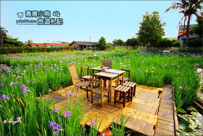 彰化景點》旅人小屋舒宿．田尾鳶尾花秘境這裡賞~期間限定景點 @青青小熊＊旅遊札記