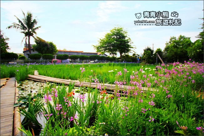 彰化景點》旅人小屋舒宿．田尾鳶尾花秘境這裡賞~期間限定景點 @青青小熊＊旅遊札記