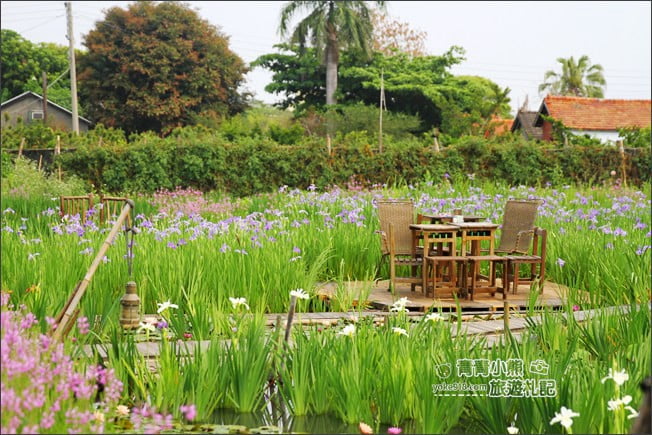 彰化景點》旅人小屋舒宿．田尾鳶尾花秘境這裡賞~期間限定景點 @青青小熊＊旅遊札記