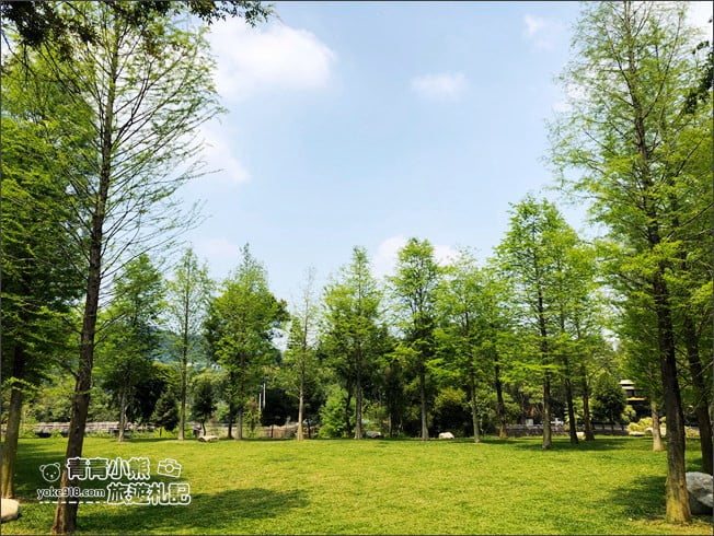 台中景點》松之戀景觀餐廳.新社約會景點~漫步落羽松林好浪漫 @青青小熊*旅遊札記 台中景點》松之戀景觀餐廳.新社約會景點~漫步落羽松林好浪漫 @青青小熊*旅遊札記