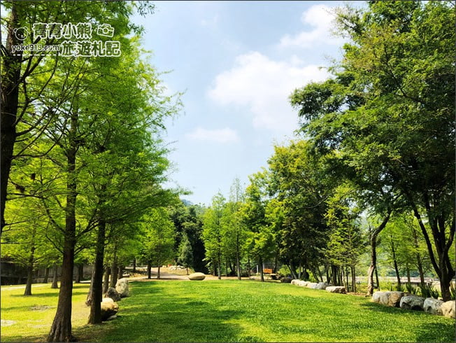 台中景點》松之戀景觀餐廳．新社約會景點~漫步落羽松林好浪漫 @青青小熊＊旅遊札記