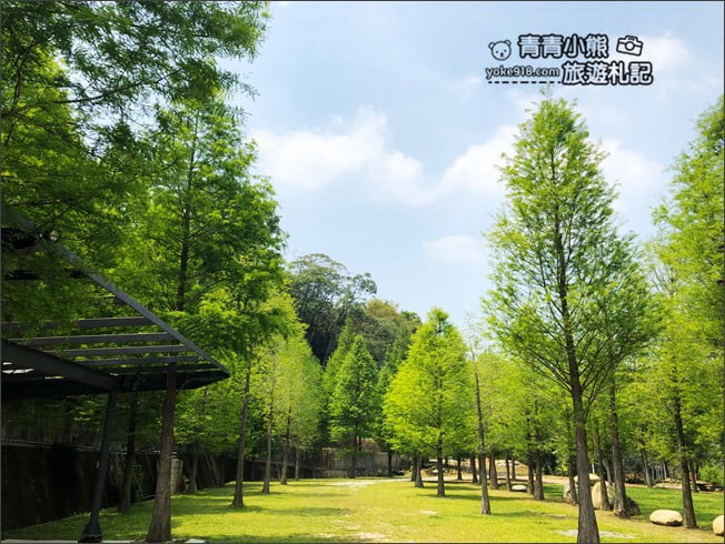 台中景點》松之戀景觀餐廳.新社約會景點~漫步落羽松林好浪漫 @青青小熊*旅遊札記 台中景點》松之戀景觀餐廳.新社約會景點~漫步落羽松林好浪漫 @青青小熊*旅遊札記