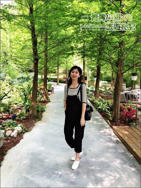 台中景點》松之戀景觀餐廳.新社約會景點~漫步落羽松林好浪漫 @青青小熊*旅遊札記 台中景點》松之戀景觀餐廳.新社約會景點~漫步落羽松林好浪漫 @青青小熊*旅遊札記