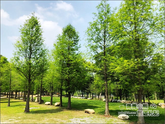 台中景點》松之戀景觀餐廳．新社約會景點~漫步落羽松林好浪漫 @青青小熊＊旅遊札記