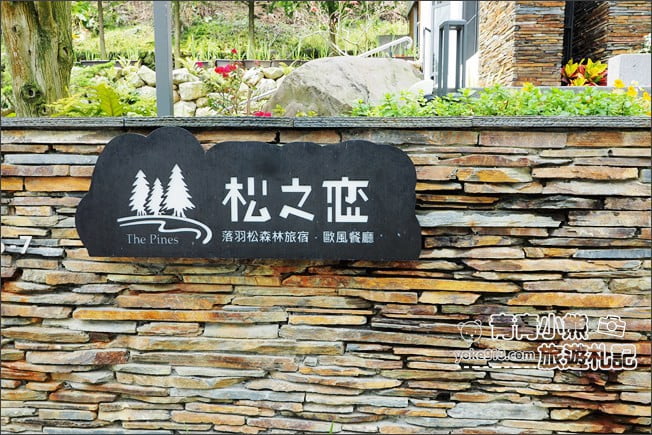 台中景點》松之戀景觀餐廳．新社約會景點~漫步落羽松林好浪漫 @青青小熊＊旅遊札記