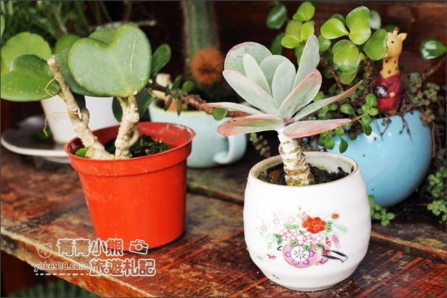 桃園景點》大溪樂灣 Gogobox.美式戶外餐車用餐去~好拍又有特色的美式風情 @青青小熊*旅遊札記 桃園景點》大溪樂灣 Gogobox.美式戶外餐車用餐去~好拍又有特色的美式風情 @青青小熊*旅遊札記