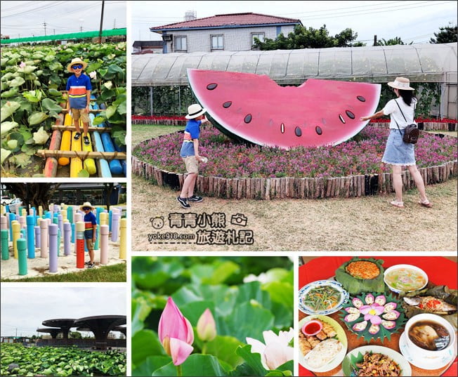 桃園觀音景點》賞蓮花一日遊.2020蓮花季熱鬧登場.坐大王蓮.吃蓮花餐~一起賞花去 @青青小熊*旅遊札記 桃園觀音景點》賞蓮花一日遊.2020蓮花季熱鬧登場.坐大王蓮.吃蓮花餐~一起賞花去 @青青小熊*旅遊札記