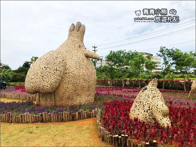桃園觀音景點》賞蓮花一日遊.2020蓮花季熱鬧登場.坐大王蓮.吃蓮花餐~一起賞花去 @青青小熊*旅遊札記 桃園觀音景點》賞蓮花一日遊.2020蓮花季熱鬧登場.坐大王蓮.吃蓮花餐~一起賞花去 @青青小熊*旅遊札記