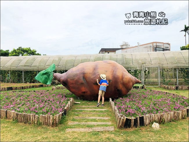 桃園觀音景點》賞蓮花一日遊.2020蓮花季熱鬧登場.坐大王蓮.吃蓮花餐~一起賞花去 @青青小熊*旅遊札記 桃園觀音景點》賞蓮花一日遊.2020蓮花季熱鬧登場.坐大王蓮.吃蓮花餐~一起賞花去 @青青小熊*旅遊札記