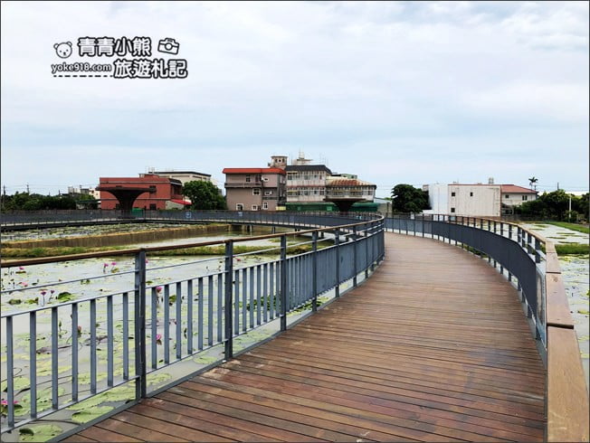 桃園觀音景點》賞蓮花一日遊.2020蓮花季熱鬧登場.坐大王蓮.吃蓮花餐~一起賞花去 @青青小熊*旅遊札記 桃園觀音景點》賞蓮花一日遊.2020蓮花季熱鬧登場.坐大王蓮.吃蓮花餐~一起賞花去 @青青小熊*旅遊札記