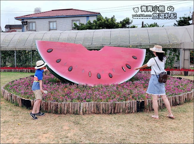 桃園觀音景點》賞蓮花一日遊.2020蓮花季熱鬧登場.坐大王蓮.吃蓮花餐~一起賞花去 @青青小熊*旅遊札記 桃園觀音景點》賞蓮花一日遊.2020蓮花季熱鬧登場.坐大王蓮.吃蓮花餐~一起賞花去 @青青小熊*旅遊札記