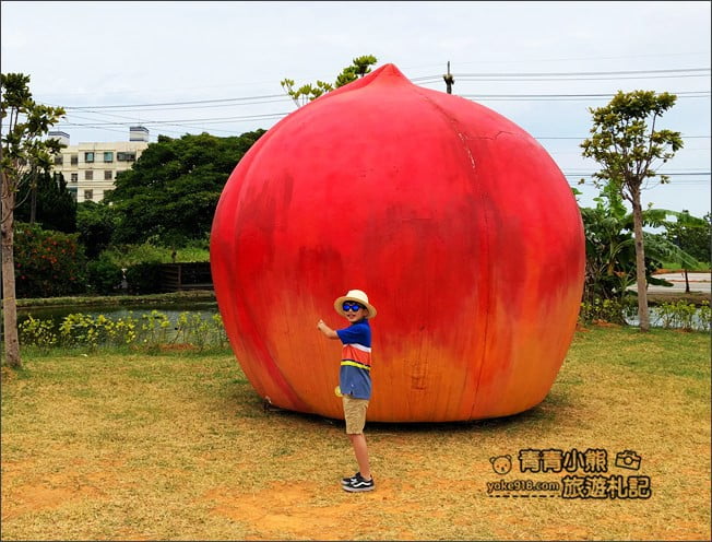 桃園觀音景點》賞蓮花一日遊.2020蓮花季熱鬧登場.坐大王蓮.吃蓮花餐~一起賞花去 @青青小熊*旅遊札記 桃園觀音景點》賞蓮花一日遊.2020蓮花季熱鬧登場.坐大王蓮.吃蓮花餐~一起賞花去 @青青小熊*旅遊札記