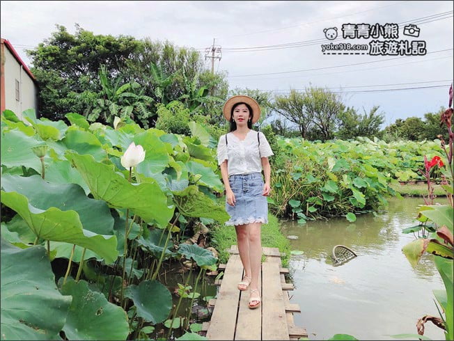 桃園觀音景點》賞蓮花一日遊.2020蓮花季熱鬧登場.坐大王蓮.吃蓮花餐~一起賞花去 @青青小熊*旅遊札記 桃園觀音景點》賞蓮花一日遊.2020蓮花季熱鬧登場.坐大王蓮.吃蓮花餐~一起賞花去 @青青小熊*旅遊札記