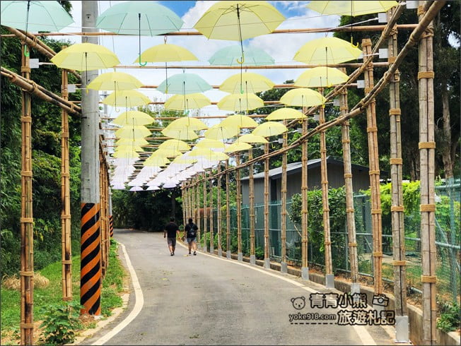 桃園觀音景點》賞蓮花一日遊.2020蓮花季熱鬧登場.坐大王蓮.吃蓮花餐~一起賞花去 @青青小熊*旅遊札記 桃園觀音景點》賞蓮花一日遊.2020蓮花季熱鬧登場.坐大王蓮.吃蓮花餐~一起賞花去 @青青小熊*旅遊札記