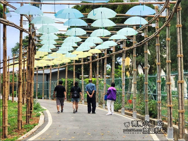 桃園觀音景點》賞蓮花一日遊.2020蓮花季熱鬧登場.坐大王蓮.吃蓮花餐~一起賞花去 @青青小熊*旅遊札記 桃園觀音景點》賞蓮花一日遊.2020蓮花季熱鬧登場.坐大王蓮.吃蓮花餐~一起賞花去 @青青小熊*旅遊札記