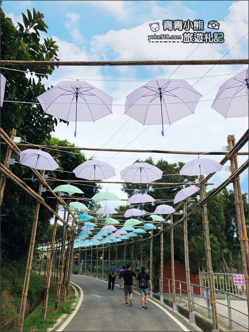 桃園觀音景點》賞蓮花一日遊.2020蓮花季熱鬧登場.坐大王蓮.吃蓮花餐~一起賞花去 @青青小熊*旅遊札記 桃園觀音景點》賞蓮花一日遊.2020蓮花季熱鬧登場.坐大王蓮.吃蓮花餐~一起賞花去 @青青小熊*旅遊札記