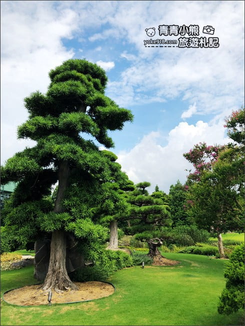 彰化景點》成美文化園.有台版兼六園的日式造景,平地版嘉明湖,茂密的落羽松步道 @青青小熊*旅遊札記 彰化景點》成美文化園.有台版兼六園的日式造景,平地版嘉明湖,茂密的落羽松步道 @青青小熊*旅遊札記