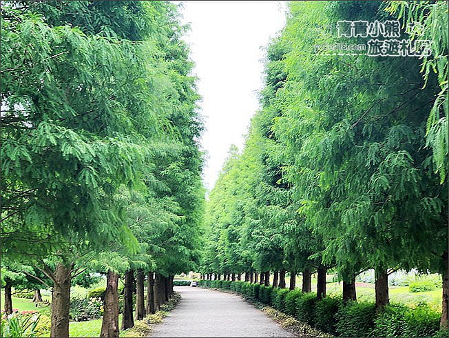 彰化景點》成美文化園.有台版兼六園的日式造景,平地版嘉明湖,茂密的落羽松步道 @青青小熊*旅遊札記 彰化景點》成美文化園.有台版兼六園的日式造景,平地版嘉明湖,茂密的落羽松步道 @青青小熊*旅遊札記