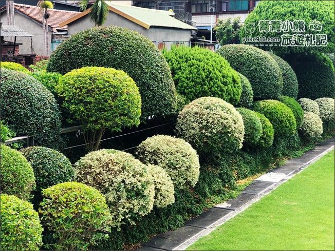 彰化景點》成美文化園．有台版兼六園的日式造景,平地版嘉明湖,茂密的落羽松步道 @青青小熊＊旅遊札記