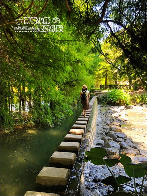 [花蓮旅遊景點]花蓮三日遊-花蓮壽豐雲山水生態農莊 @青青小熊＊旅遊札記