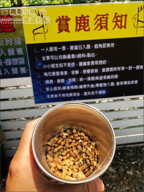 宜蘭新亮點》田老爺鹿森林．冬山隱藏版的可愛梅花鹿園區~來去餵小鹿 @青青小熊＊旅遊札記