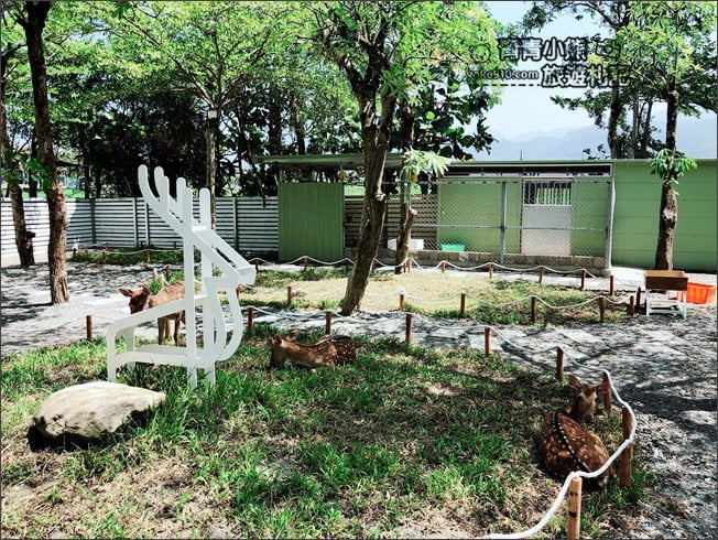 宜蘭新亮點》田老爺鹿森林.冬山隱藏版的可愛梅花鹿園區~來去餵小鹿 @青青小熊*旅遊札記 宜蘭新亮點》田老爺鹿森林.冬山隱藏版的可愛梅花鹿園區~來去餵小鹿 @青青小熊*旅遊札記