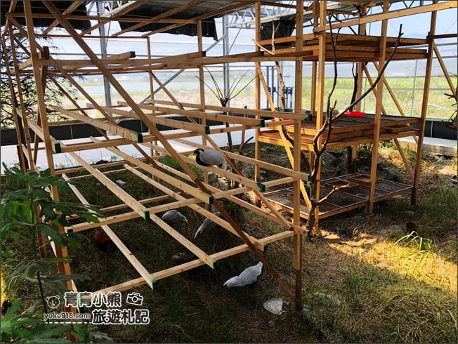 宜蘭新景點》五十二甲生態農場．五結親子景點，佔地廣大~內有許多可愛小動物 @青青小熊＊旅遊札記