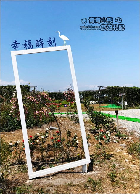 宜蘭新景點》五十二甲生態農場．五結親子景點，佔地廣大~內有許多可愛小動物 @青青小熊＊旅遊札記