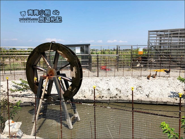 宜蘭新景點》五十二甲生態農場．五結親子景點，佔地廣大~內有許多可愛小動物 @青青小熊＊旅遊札記