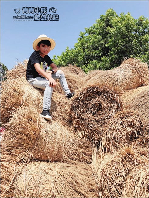 宜蘭新景點》五十二甲生態農場．五結親子景點，佔地廣大~內有許多可愛小動物 @青青小熊＊旅遊札記
