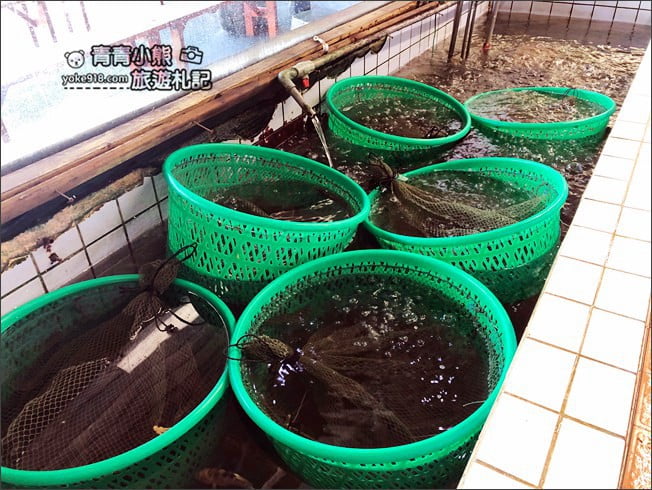 花蓮美食推薦》055龍蝦海鮮餐廳.鹽寮必吃美食~龍蝦海鮮好吃又平價 @青青小熊*旅遊札記 花蓮美食推薦》055龍蝦海鮮餐廳.鹽寮必吃美食~龍蝦海鮮好吃又平價 @青青小熊*旅遊札記