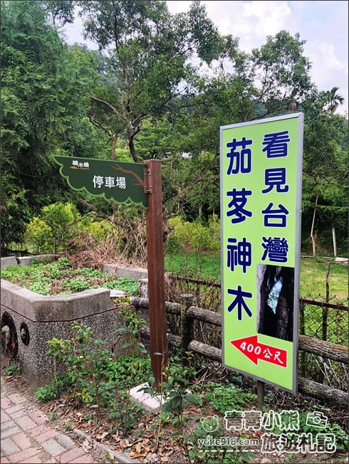 南投景點》看見臺灣茄苳樹公.從樹洞中找台灣,屹立不搖300年的樹爺爺 @青青小熊*旅遊札記 南投景點》看見臺灣茄苳樹公.從樹洞中找台灣,屹立不搖300年的樹爺爺 @青青小熊*旅遊札記