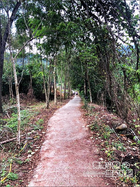 南投景點》看見臺灣茄苳樹公.從樹洞中找台灣,屹立不搖300年的樹爺爺 @青青小熊*旅遊札記 南投景點》看見臺灣茄苳樹公.從樹洞中找台灣,屹立不搖300年的樹爺爺 @青青小熊*旅遊札記