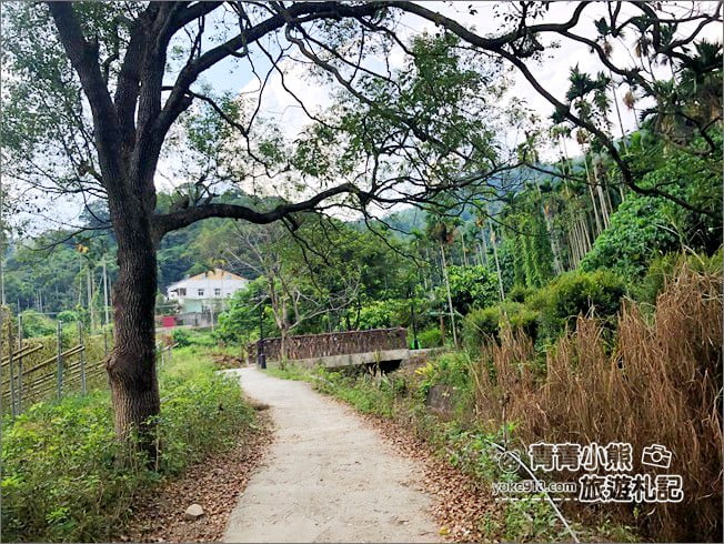 南投景點》看見臺灣茄苳樹公.從樹洞中找台灣,屹立不搖300年的樹爺爺 @青青小熊*旅遊札記 南投景點》看見臺灣茄苳樹公.從樹洞中找台灣,屹立不搖300年的樹爺爺 @青青小熊*旅遊札記