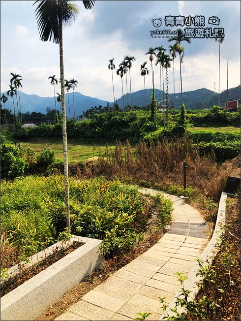 南投景點》看見臺灣茄苳樹公.從樹洞中找台灣,屹立不搖300年的樹爺爺 @青青小熊*旅遊札記 南投景點》看見臺灣茄苳樹公.從樹洞中找台灣,屹立不搖300年的樹爺爺 @青青小熊*旅遊札記