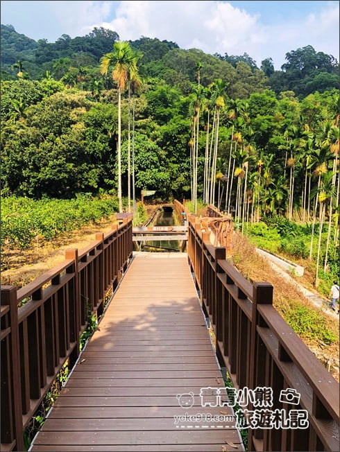 南投景點》看見臺灣茄苳樹公.從樹洞中找台灣,屹立不搖300年的樹爺爺 @青青小熊*旅遊札記 南投景點》看見臺灣茄苳樹公.從樹洞中找台灣,屹立不搖300年的樹爺爺 @青青小熊*旅遊札記