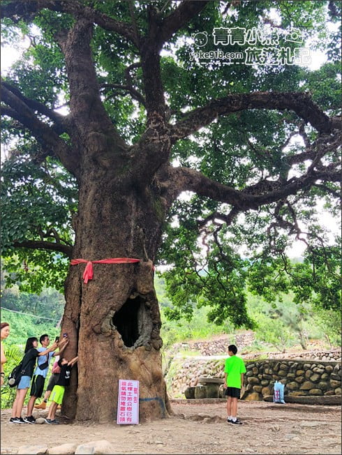 南投免門票景點》南投小資旅遊推薦,適合全家同遊的好玩免門票&銅板價這裡玩 @青青小熊*旅遊札記 南投免門票景點》南投小資旅遊推薦,適合全家同遊的好玩免門票&銅板價這裡玩 @青青小熊*旅遊札記