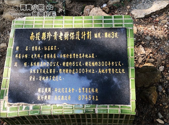 南投景點》看見臺灣茄苳樹公.從樹洞中找台灣,屹立不搖300年的樹爺爺 @青青小熊*旅遊札記 南投景點》看見臺灣茄苳樹公.從樹洞中找台灣,屹立不搖300年的樹爺爺 @青青小熊*旅遊札記
