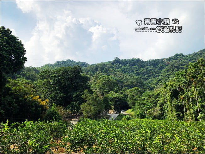 南投景點》看見臺灣茄苳樹公．從樹洞中找台灣，屹立不搖300年的樹爺爺 @青青小熊＊旅遊札記